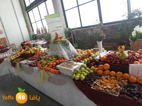 7era2 kotrye (14).JPG